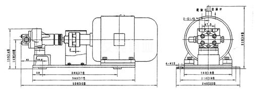 NYP系列内环式高粘度泵8